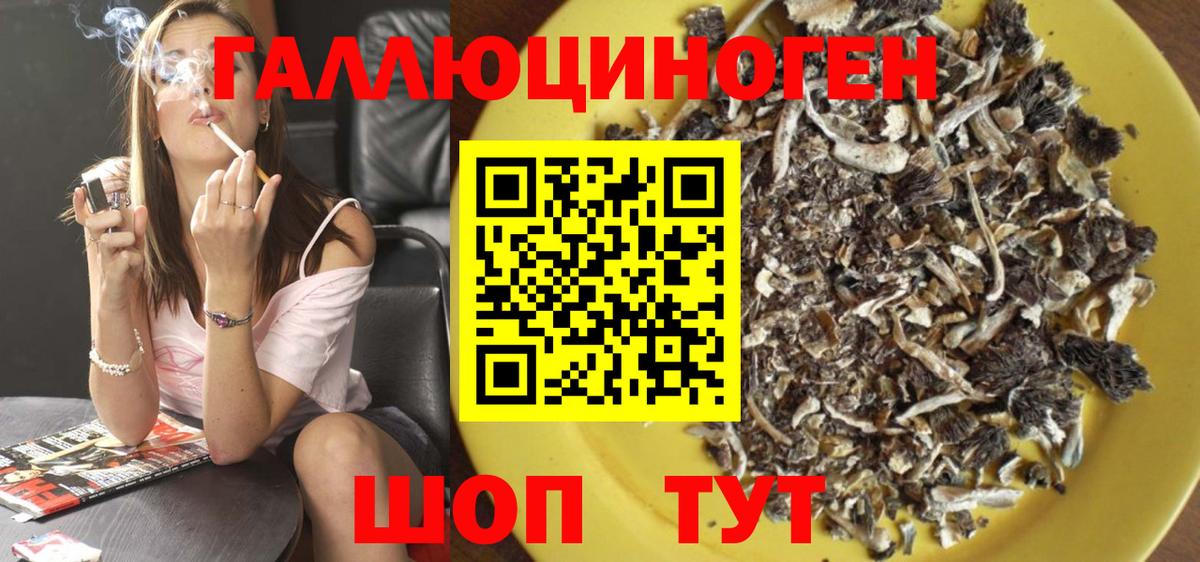 купить   Вход с VPN  Октябрьский  Галлюциногенные грибы Cubensis 